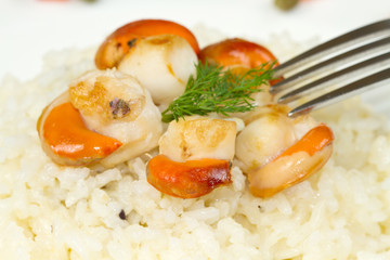 risotto with grilled scallops