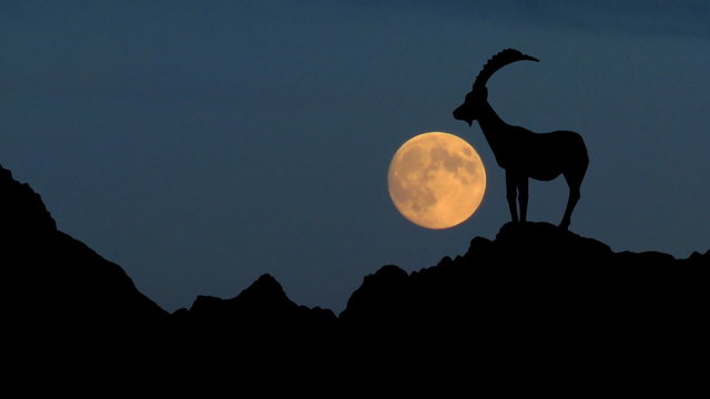 Slovenia Triglav moonrise