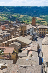 Panoramic view of Orvieto. Umbria. Italy.