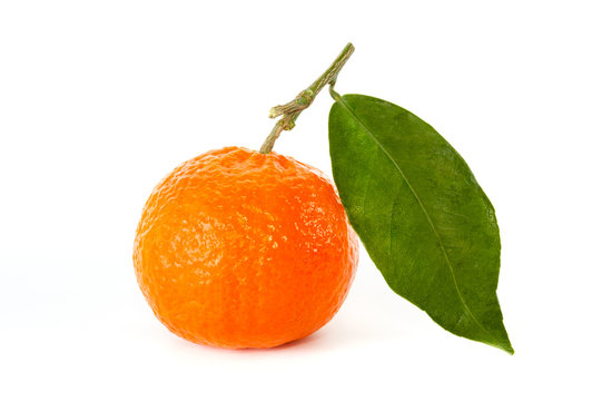Tangerine with stem and leaf