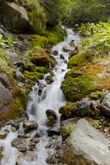 Waterfall in forest with rocks