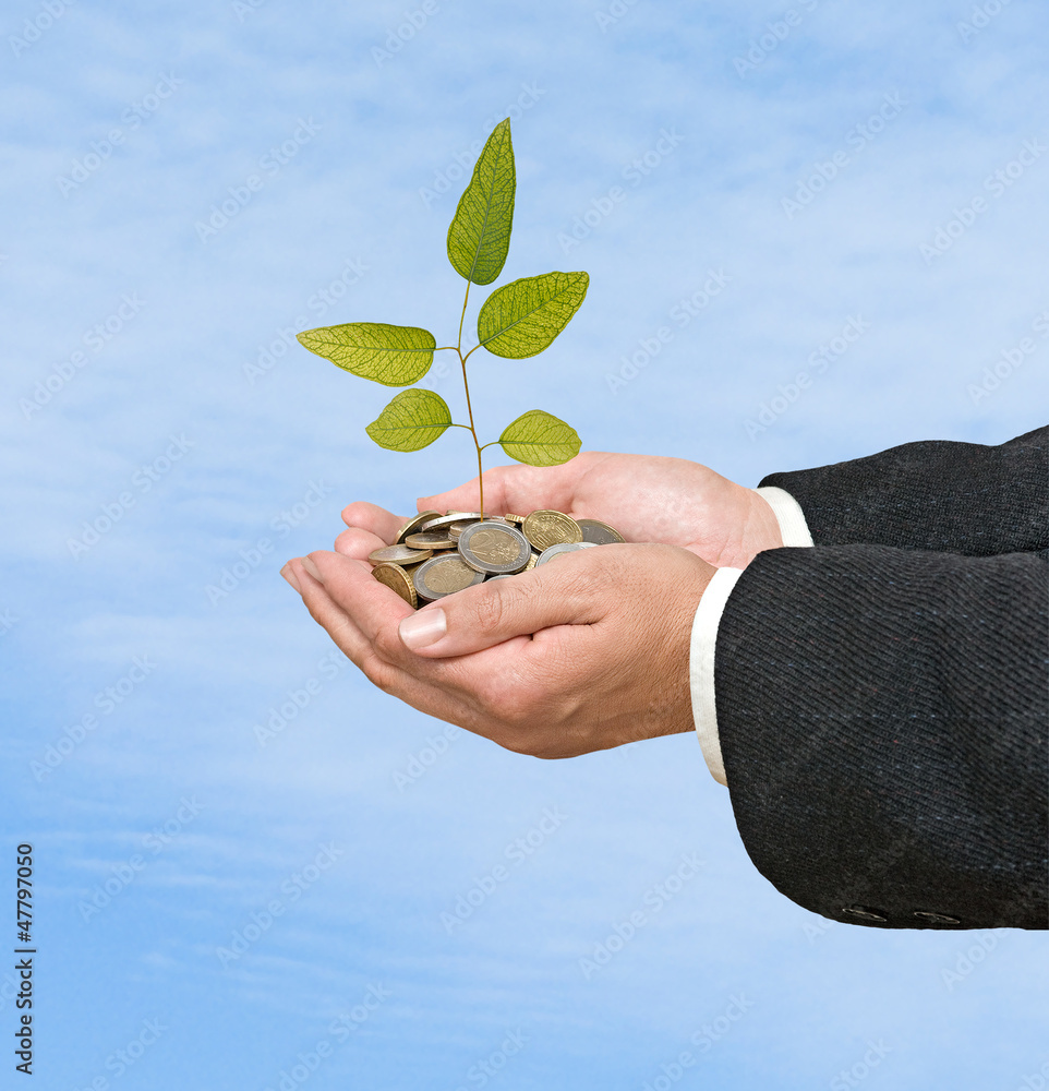 Wall mural sapling in hands