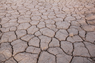 background of dry soil