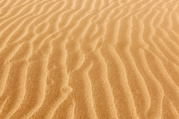 Fototapeta na wymiar Czyste rippled piasku na plaży