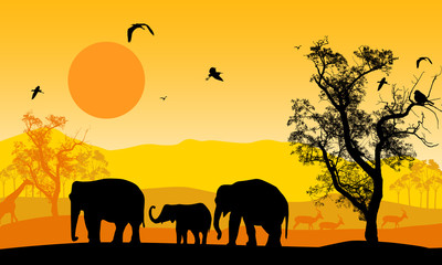 Fototapeta na wymiar African wildlife o zachodzie słońca