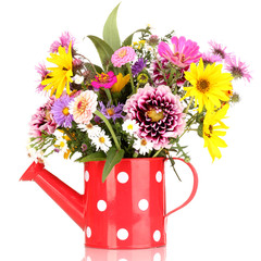 beautiful bouquet of bright flowers in watering can isolated