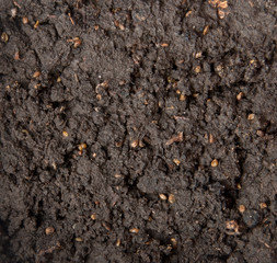 Soil background