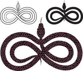 Fototapeta premium Options for vector images snake. infinity sign