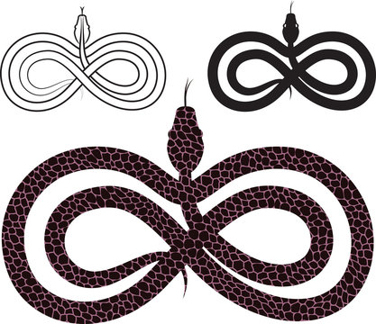 Options for vector images snake. infinity sign