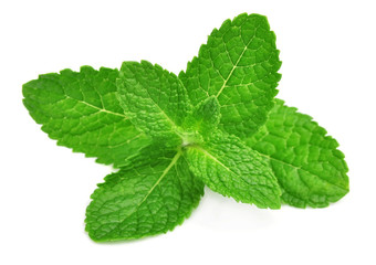 Fresh  mint