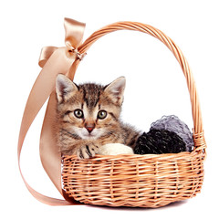 Fototapeta na wymiar Striped kitten in a basket with woolen balls