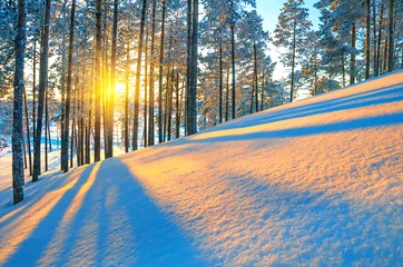 Papier Peint photo autocollant Hiver Sunset in winter forest