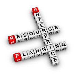 Enterprise Resource Planning (ERP)