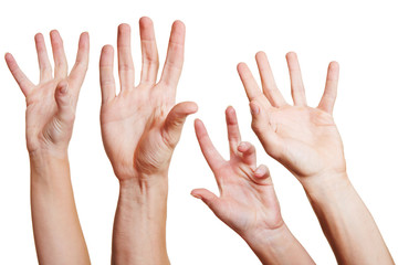 Vier Hände strecken sich nach oben