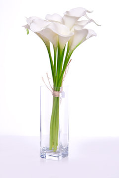 Bouquet Of Calla Lilies