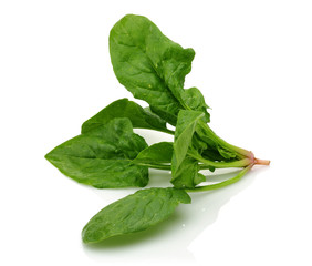 Fresh spinach