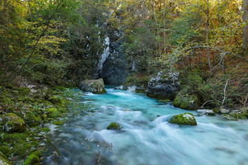Cyan river in autumn