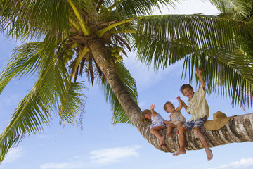 three children - boy and girls - sitting on palm tree on tropica