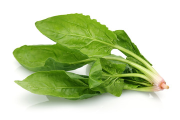 Fresh spinach