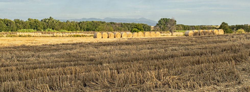 Terreno Agricolo