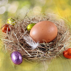 hühnerei und schokoeier im nest