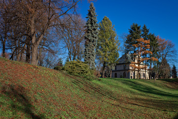 City park in autumn