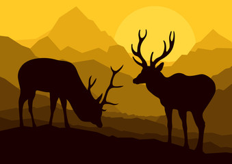 Deer in wild nature forest mountain landscape