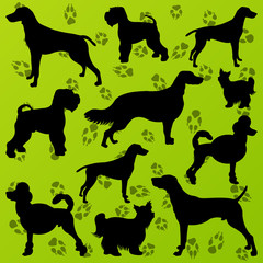 Dogs and dog footprints detailed silhouettes illustration collec
