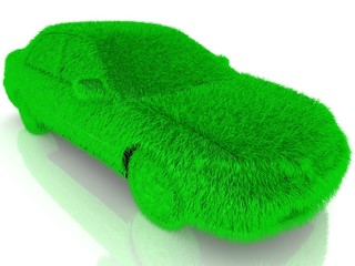 Grass covered car - eco green transport