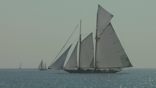 old sail regatta 12