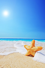 A starfish on a beach with clear sky and wave