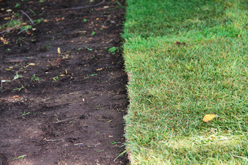 Green sod grass and brown earth