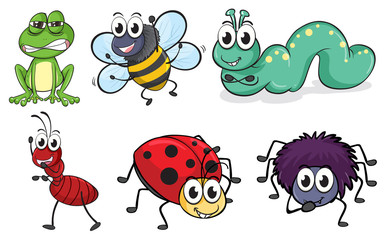 Various insects and animals