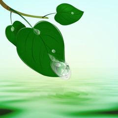 Green healthy planet and leaf with drop water.Ecology concept
