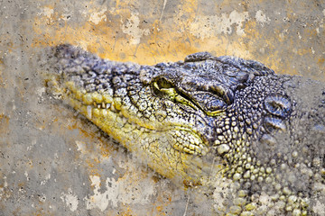 Artistic portrait of a Crocodile with textured background