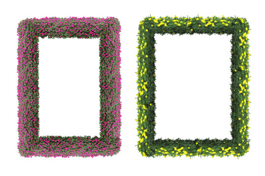 Plant picture frames isolated on white background 