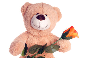 Teddy Bear with Rose