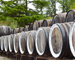 Oak port wine barrels stacked in a row