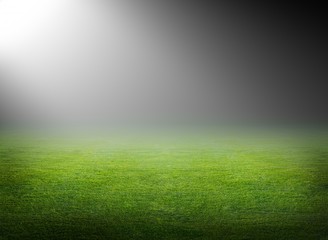 Green soccer field © IgorZh
