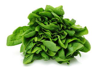 bunch of fresh spinach