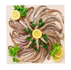 Ciuffi di totano - Tufts of short-finned squid