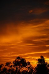 Orange sunrise © Arena Photo UK