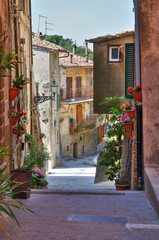 Alleyway. Soriano nel Cimino. Lazio. Italy.