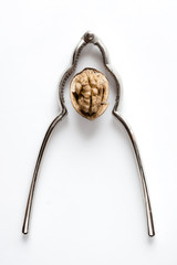 Walnut with Nutcracker on white Background