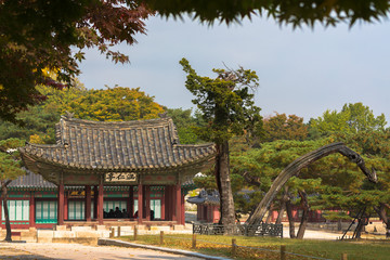 Naklejka premium In Changgyeonggung Palace, Seoul, South Korea