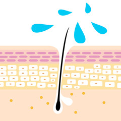 育毛剤のイラスト