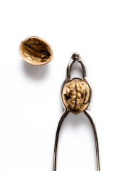 Walnut with Nutcracker on white Background