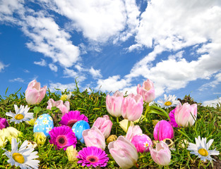 Bunte, fröhliche Osterwiese vor blauem Frühlings-Himmel