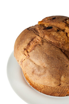 Panettone