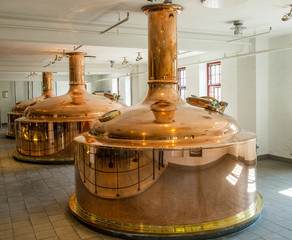 Carlsberg beer beverage